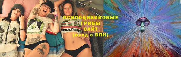 спайс Покачи