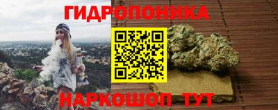 apvp Кандалакша