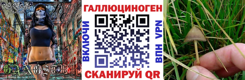 Галлюциногенные грибы мицелий  Свободный 