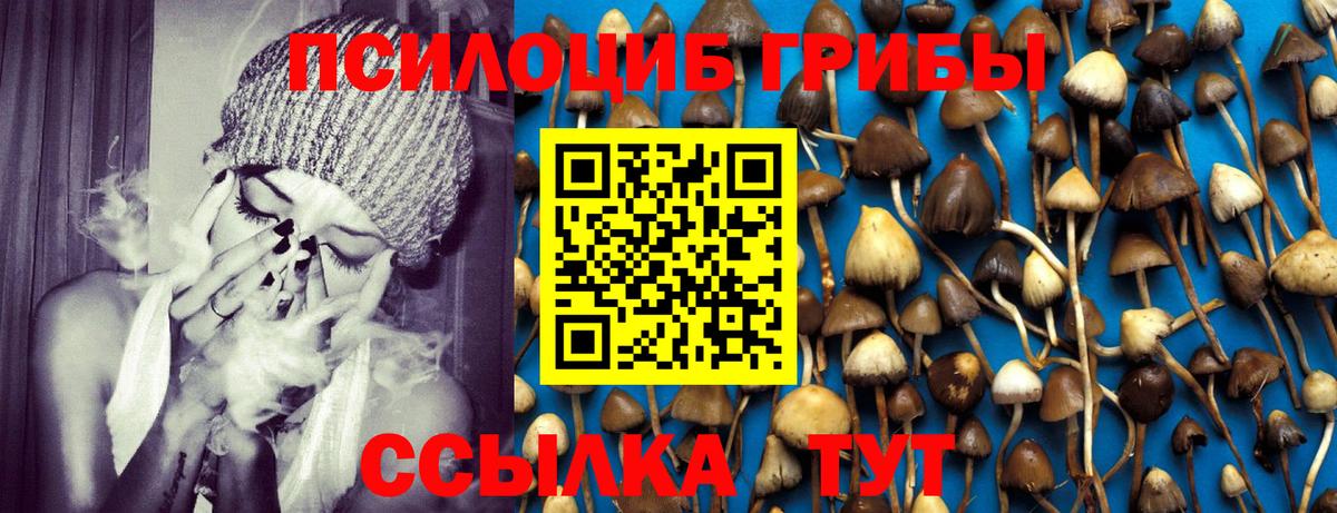 Свободный  Галлюциногенные грибы мухоморы  Галлюциногенные грибы мухоморы  Вход с VPN 