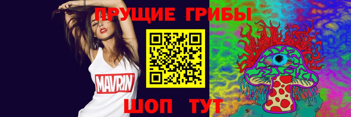 Галлюциногенные грибы Psilocybe Свободный